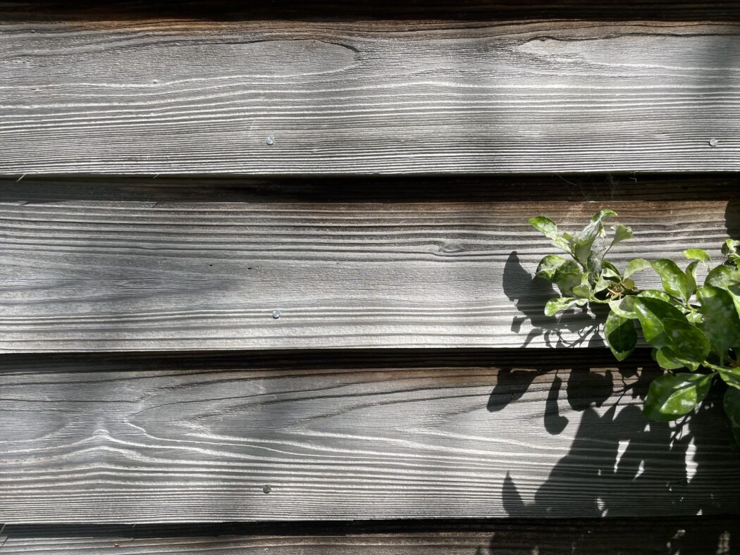 【秘訣】杉外壁のメリット・デメリット「メンテ・目地／腐朽・クギ浮き」