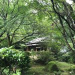 新潟観光大使。86『村杉温泉「長生館」さんのお庭。』侘び寂びの趣き、安田瓦。