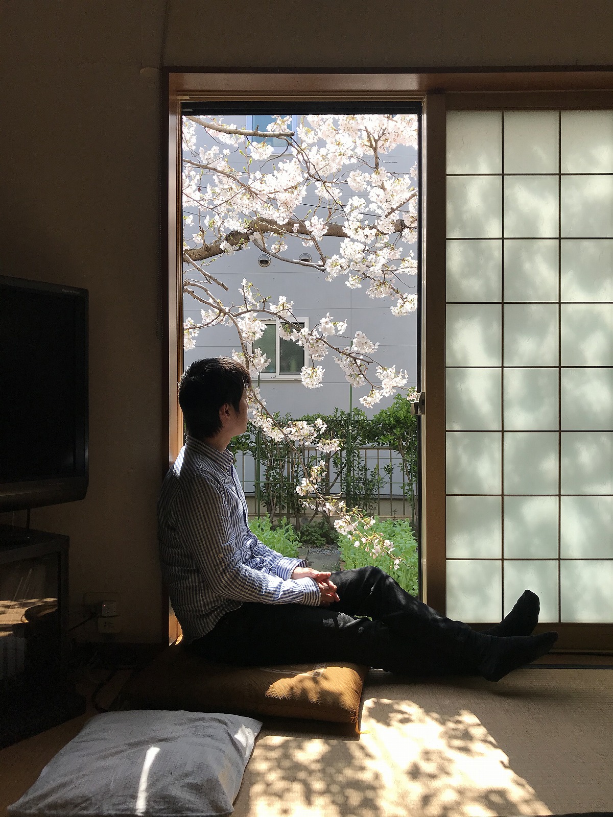 いなか日記 135 桜窓辺の居心地 押入れ 床下のワクワク感 住宅設計エスネルデザイン