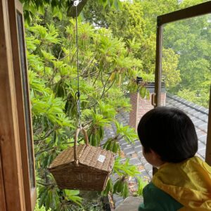 新潟観光大使。108『ツリーハウスのあるカフェ「たぶの木」さん。』－ワクワクを作る特別な居場所－