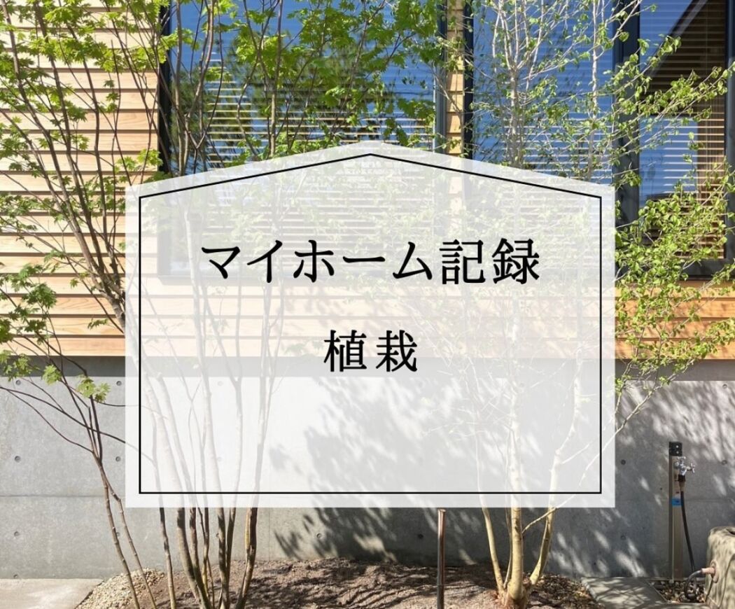 【暮らし】植栽のある暮らし『窓辺の癒し、潤い。』－想像を超えた感動－。case.清水台、燕仲町