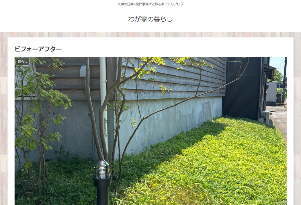 【暮らし】植栽のある暮らし『緑の窓、好きな窓。』コグマザサの手入れ。case.燕仲町