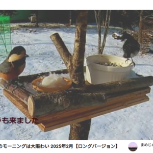 【暮らし】別荘暮らし『鳥と共に暮らす豊かさ。』W様YouTubeまめじかチャンネル紹介。case.蓼科高原