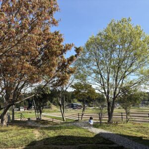 【暮らし】自邸-庭の変遷『自分で造る愛しいコケ庭。』手間と愛着と幸せ。－土を触る楽しさ－
